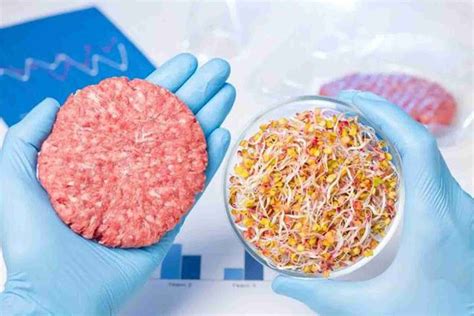 how sustainable are fake meats